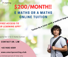 Affordable Maths, Math, E maths, A Maths Tutor or Tuition Teacher!